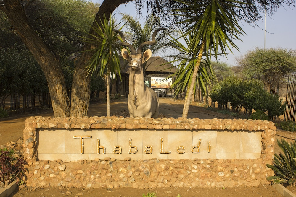 Thabaledi Game Lodge 31/50