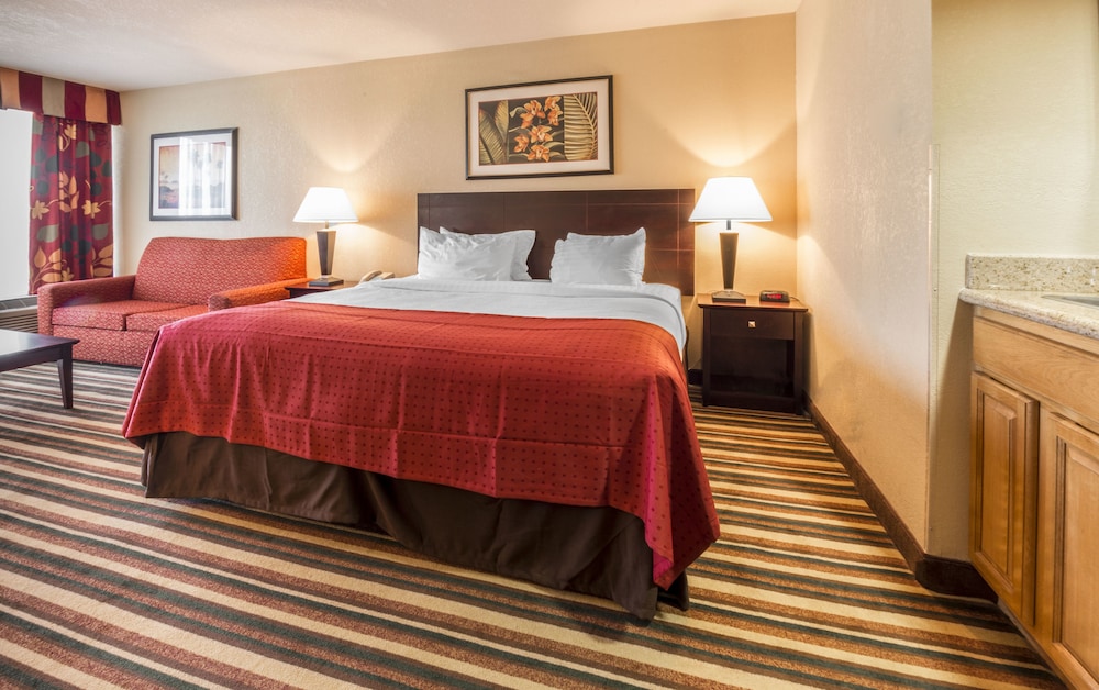 Holiday Inn & Suites Orlando SW - Celebration Area 17/62