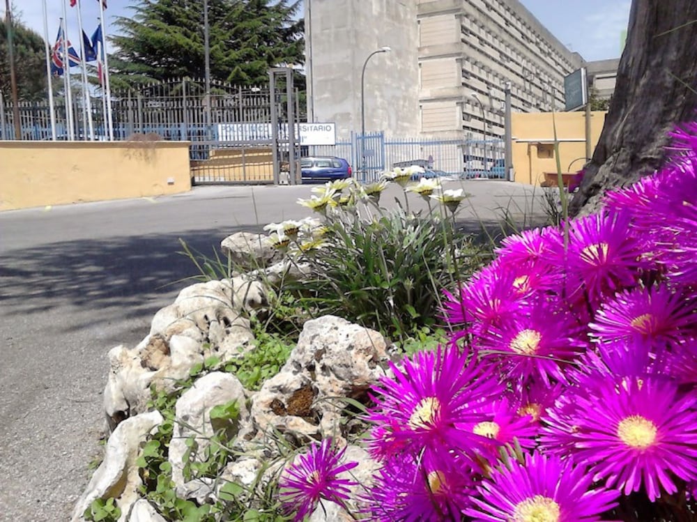 グリーン パーク ホテル 写真5