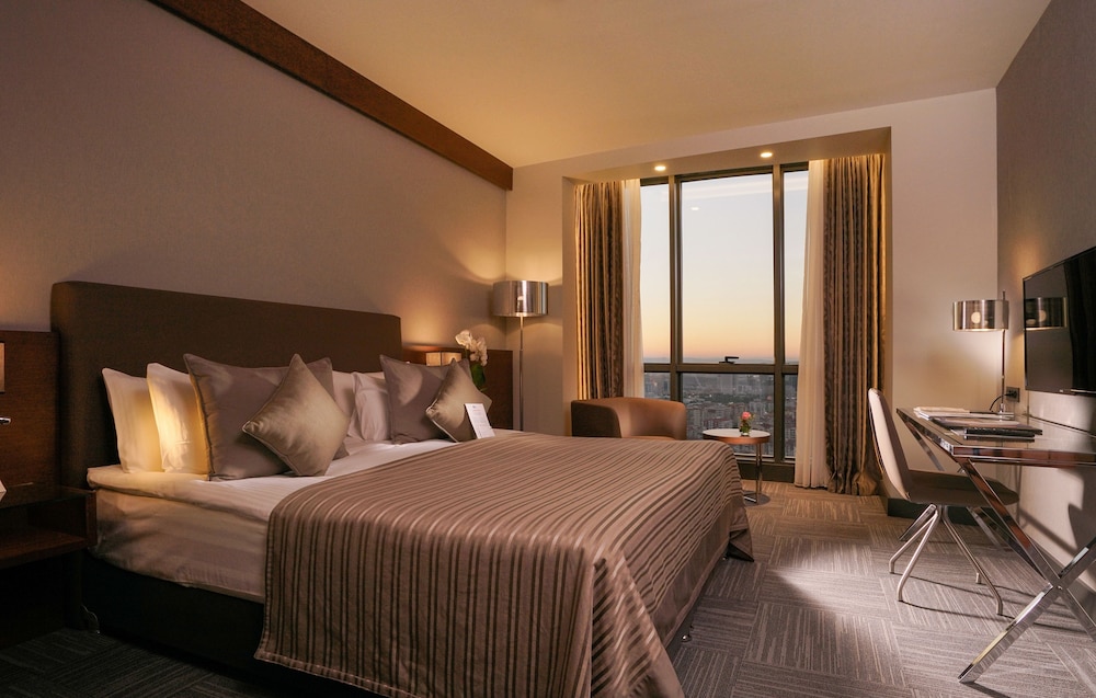 Radisson Blu Hotel Ankara Cankaya 17/56