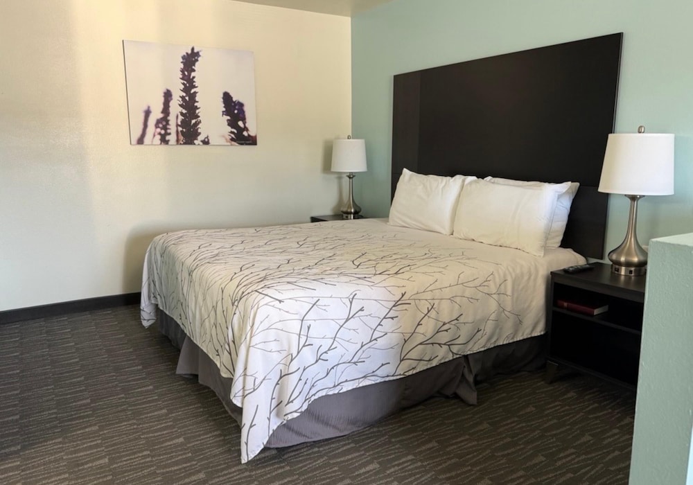 SureStay by Best Western Yerington 27/56