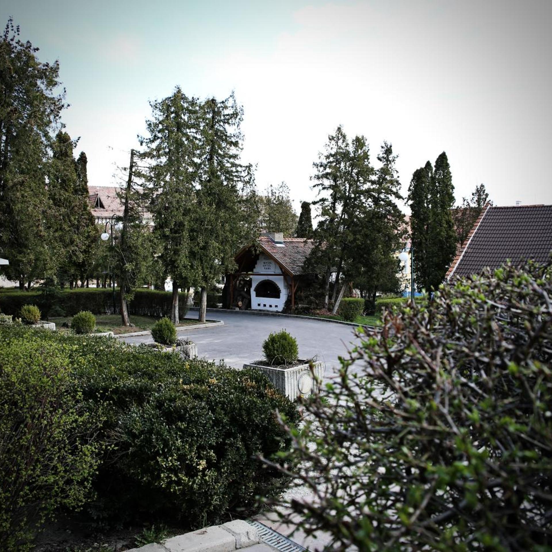 Best Western Hotel Park Sfantu Gheorghe 50/55