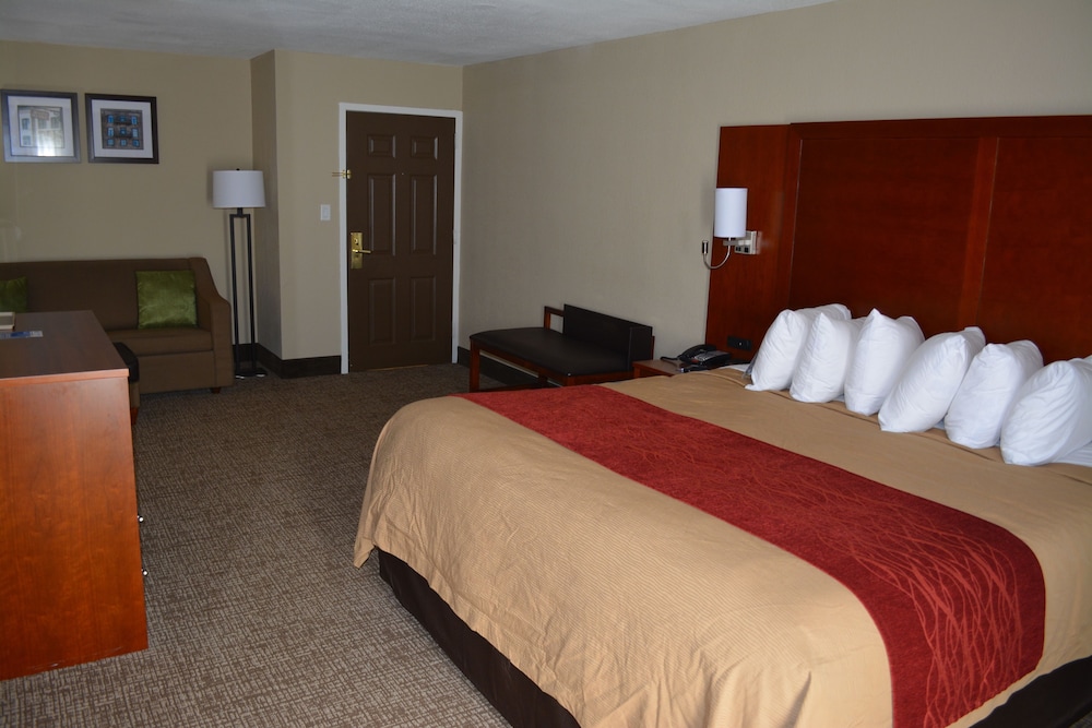 SUITE, KING BED, ACCESSIBLE