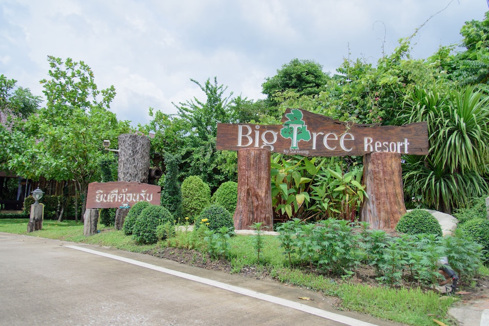Big Tree Resort 11/45