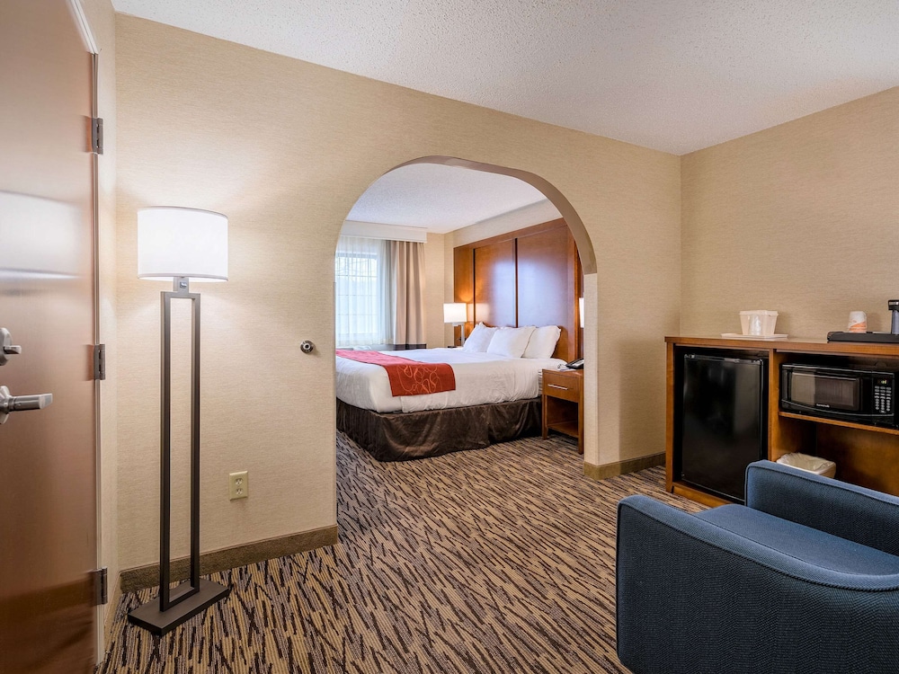 Comfort Suites At Evergreen Parkway 23/48