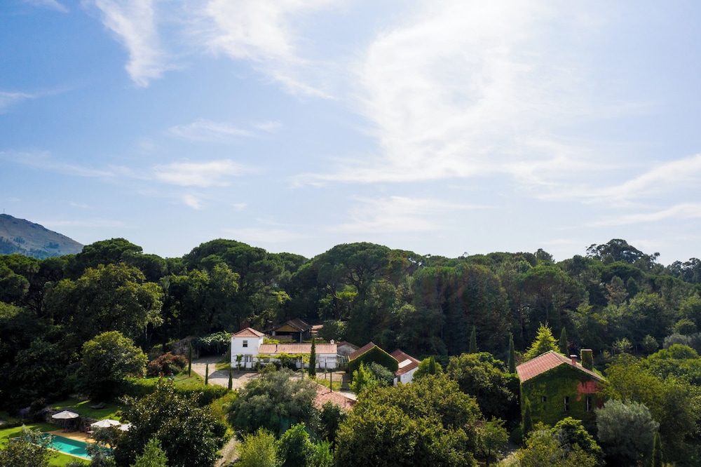 QUINTA DO AMEAL - WINE & TOURISM 55/56