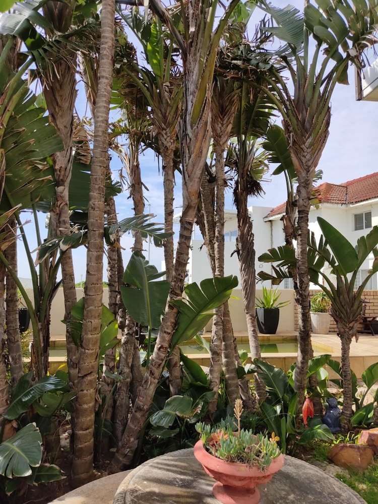 Palm Beach Guesthouse 63/71