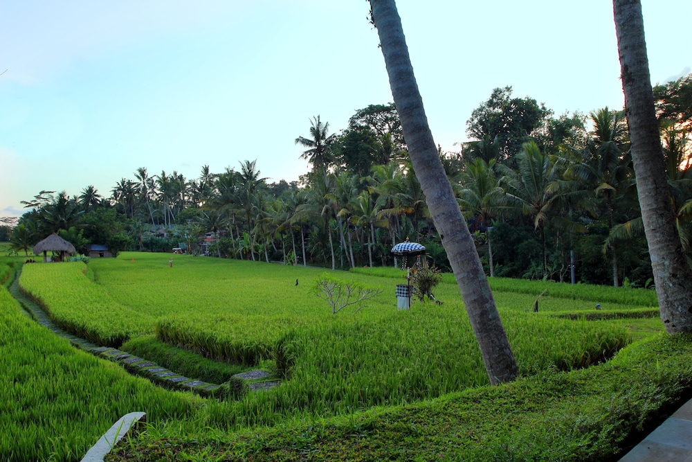 Mathis Retreat Ubud 19/46