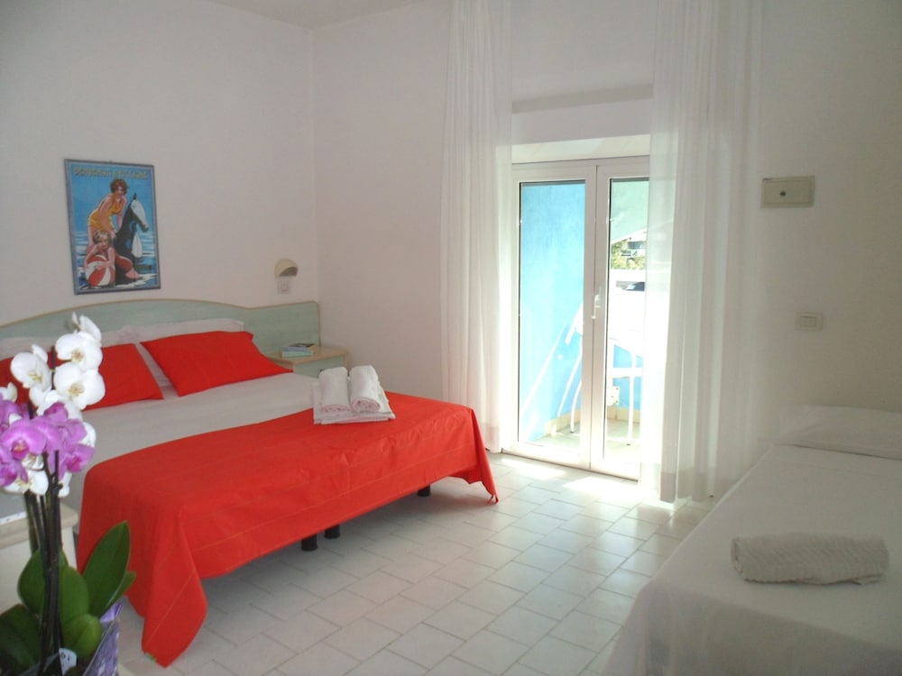 Hotel New Zanarini 4/26