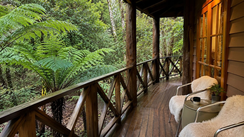 Cradle Forest Inn 26/50