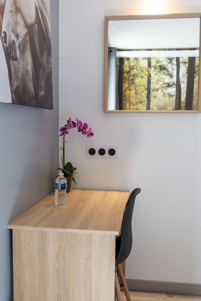 Hotel Bagatelle Paris Nord Roissy 5/37