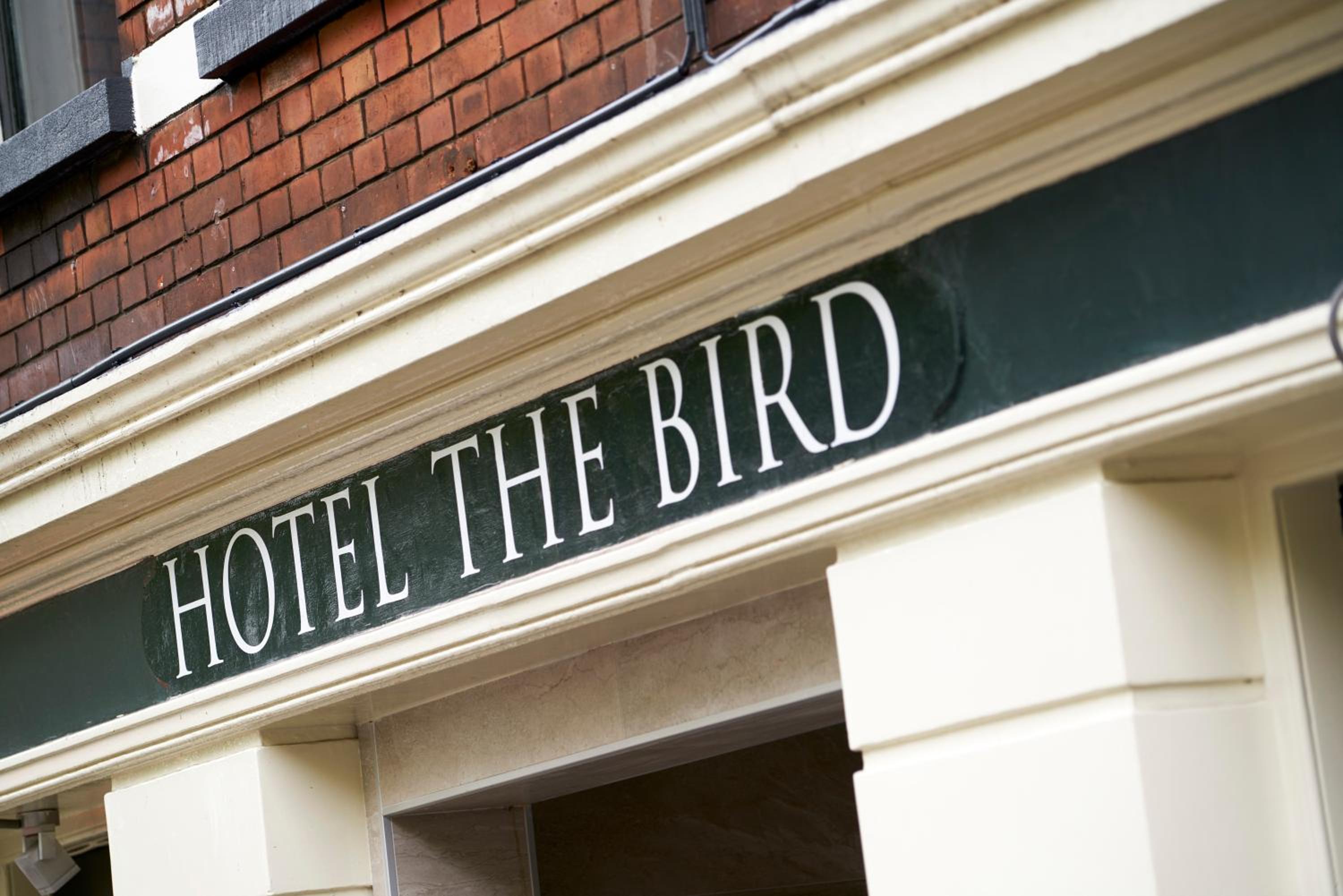 Hotel The Bird 3/50