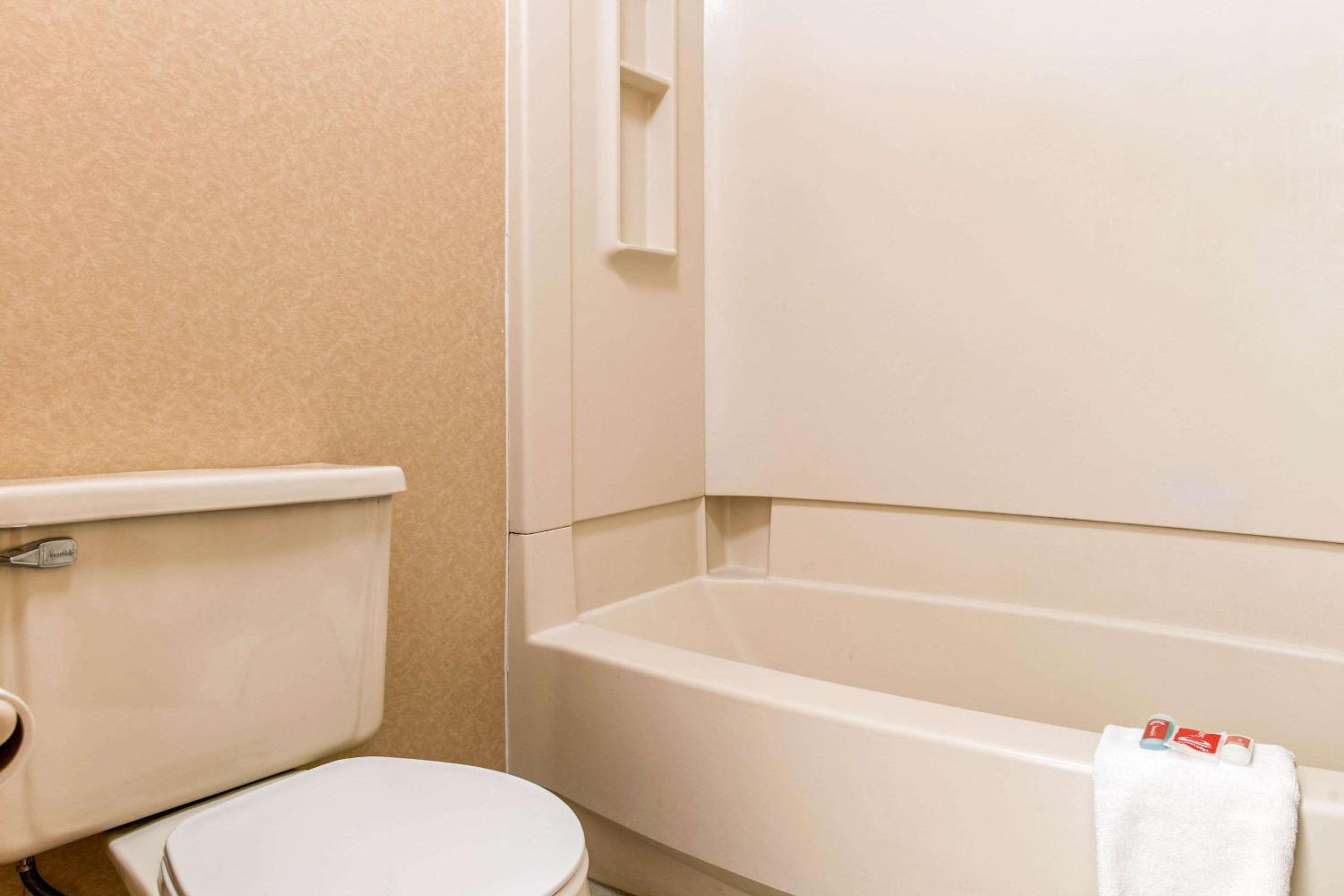 غرفة قياسية بسرير كينج للمدخنين، Econo Lodge Holland - Toledo 7/8