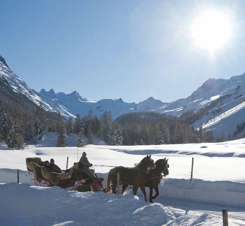 Hotel Schweizerhof Pontresina 43/68