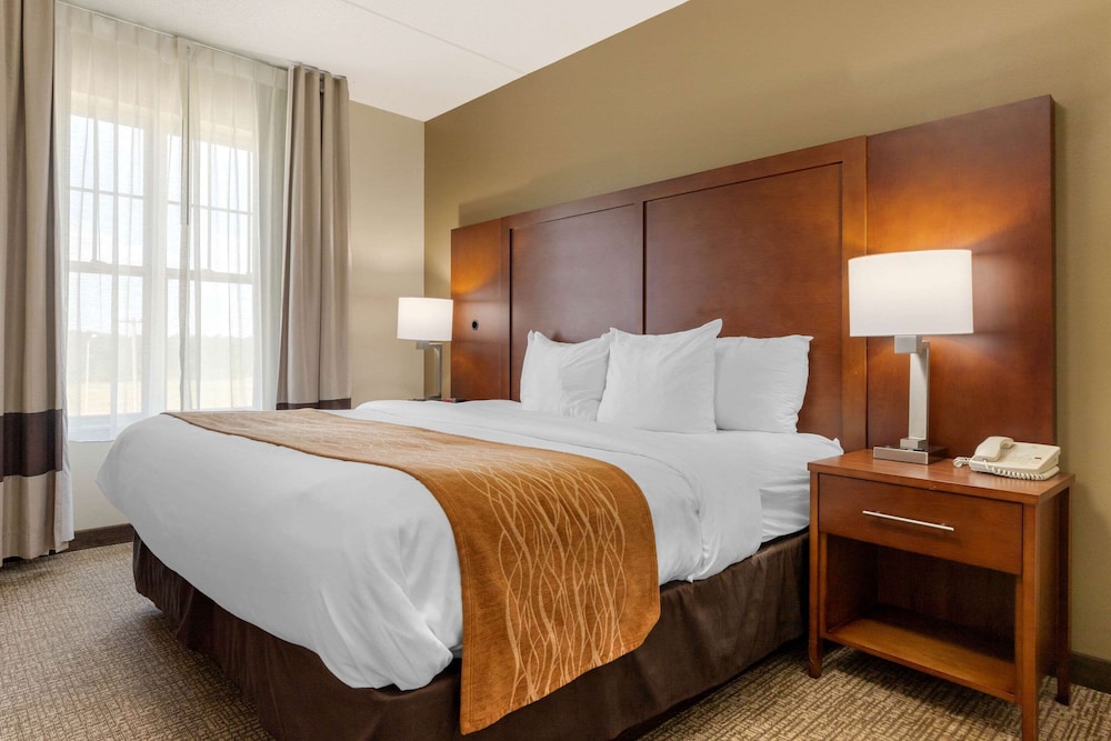 Comfort Inn & Suites Cordele GA 11/31