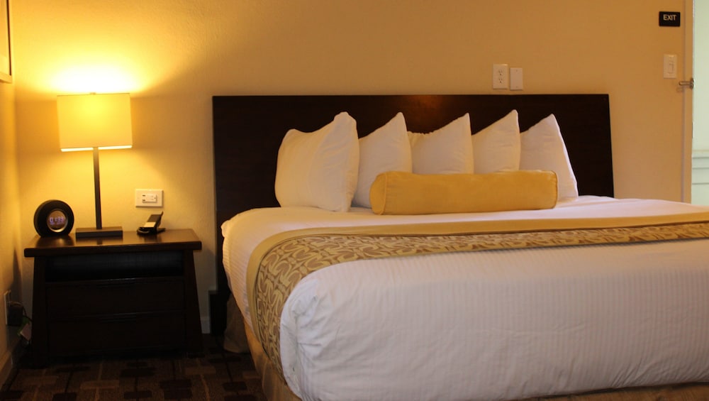 The Zen Hotel 22/58