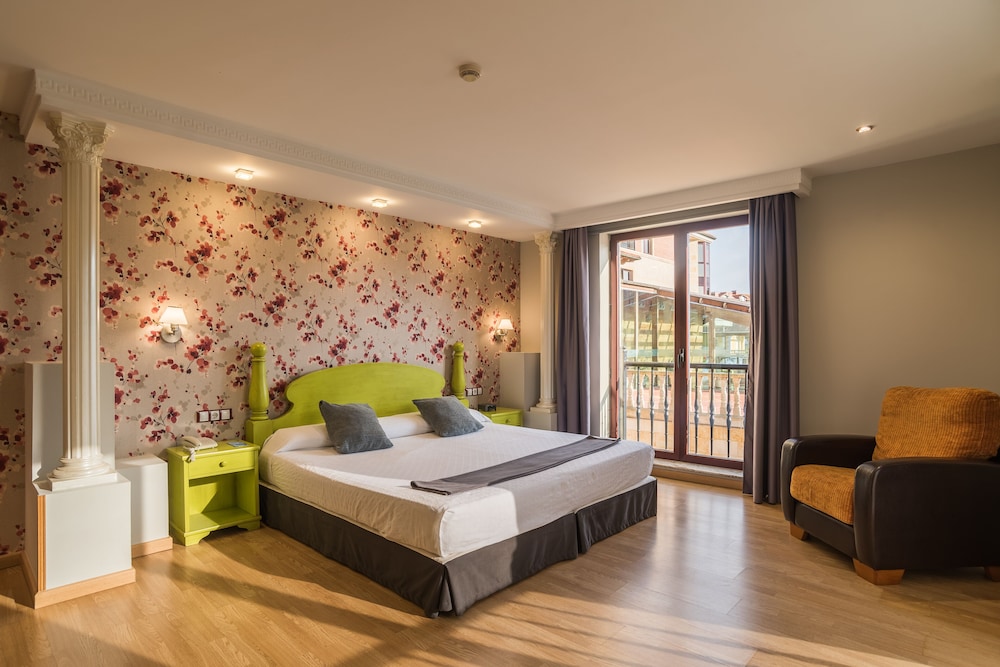Hotel Villa Pasiega 6/50