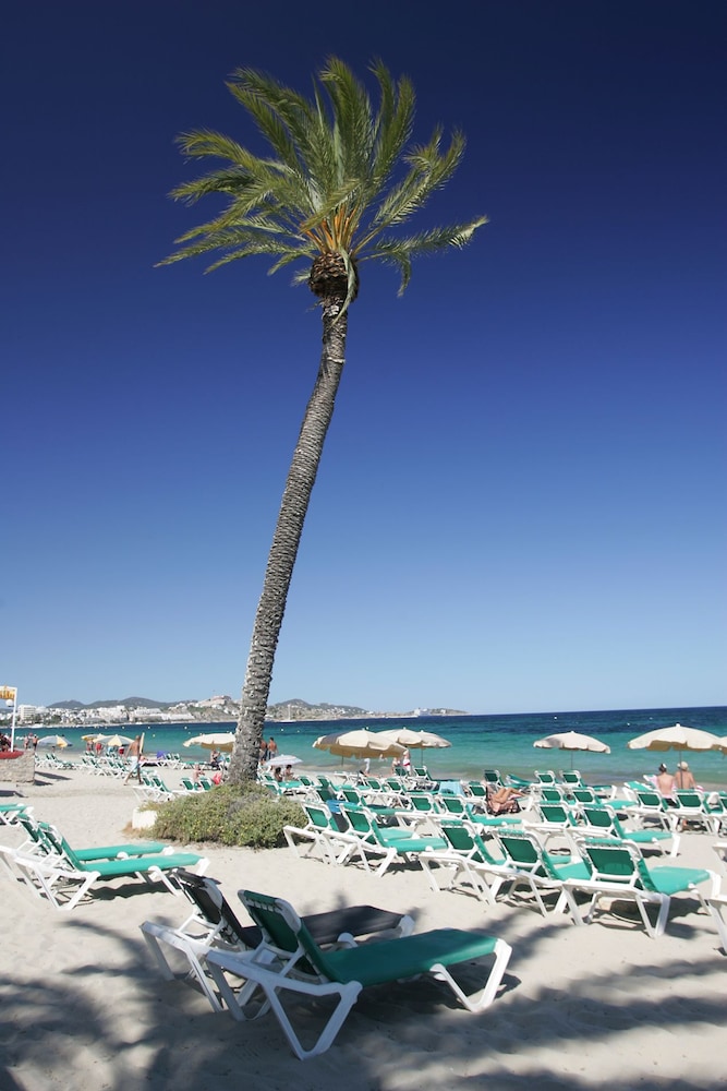 Ibiza Jet Apartamentos - Adults Only 40/50