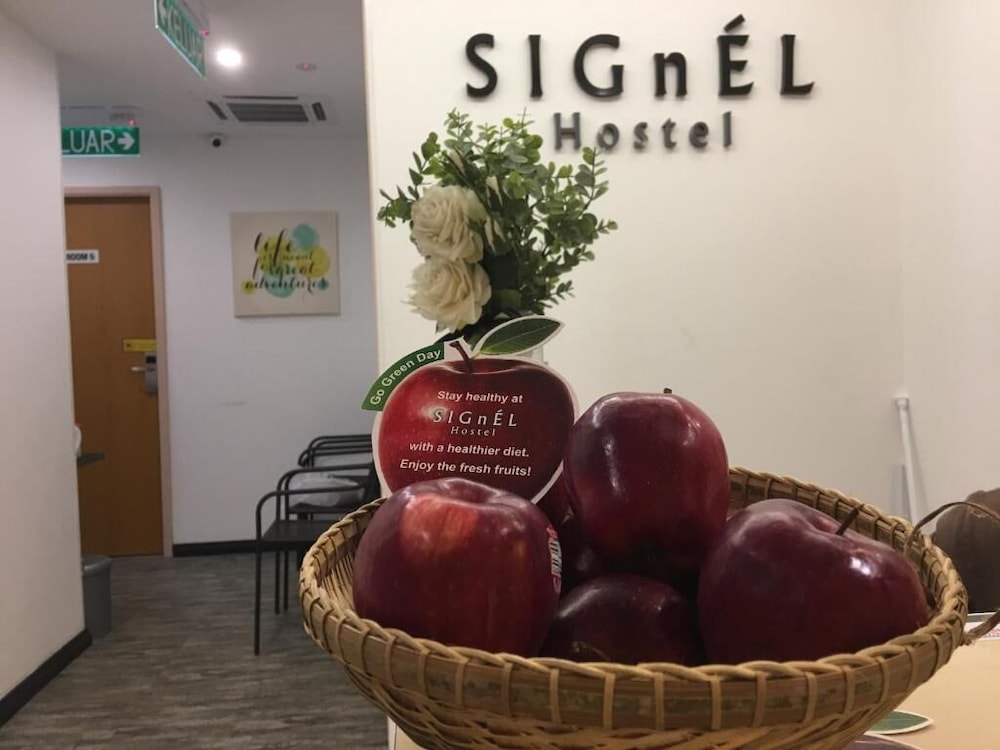 Signel Hostel 32/48