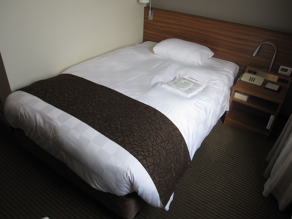 Kichijoji Tokyu REI Hotel 28/50