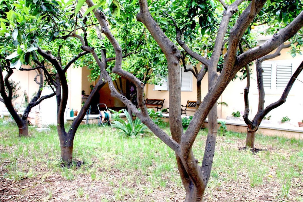 Bed And Breakfast L'aranceto 21/28