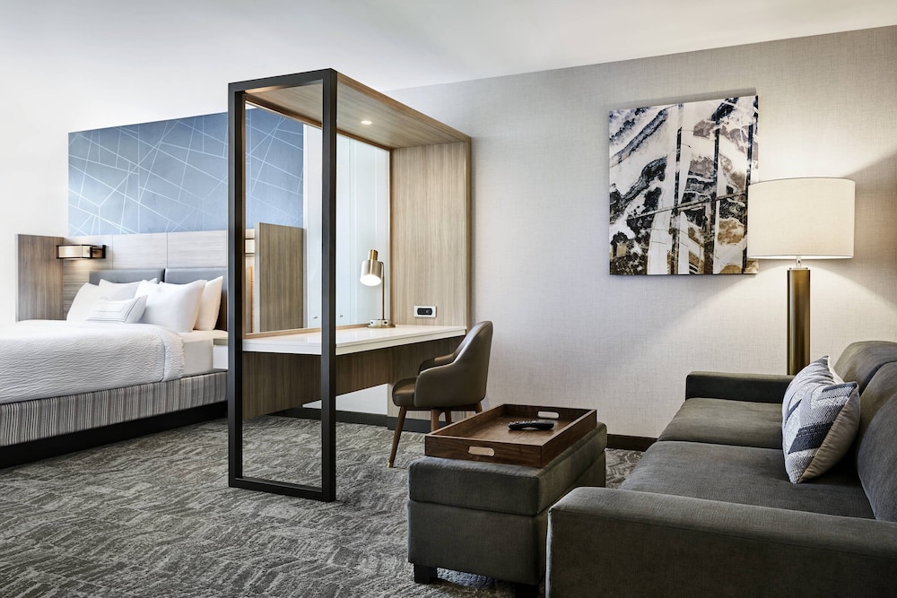 SpringHill Suites by Marriott Suwanee Johns Creek 23/46