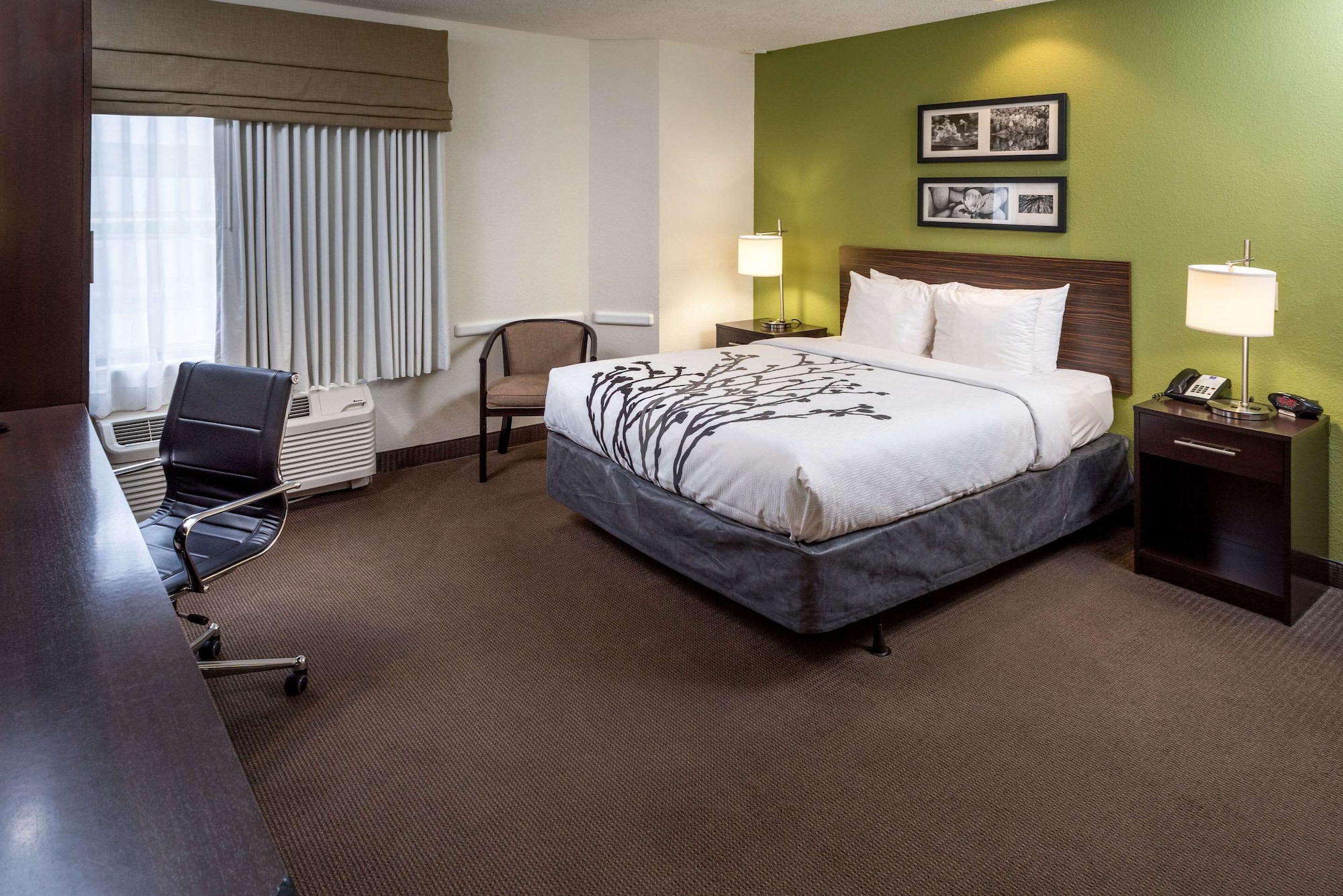 Room, Queen Bed, Accessible