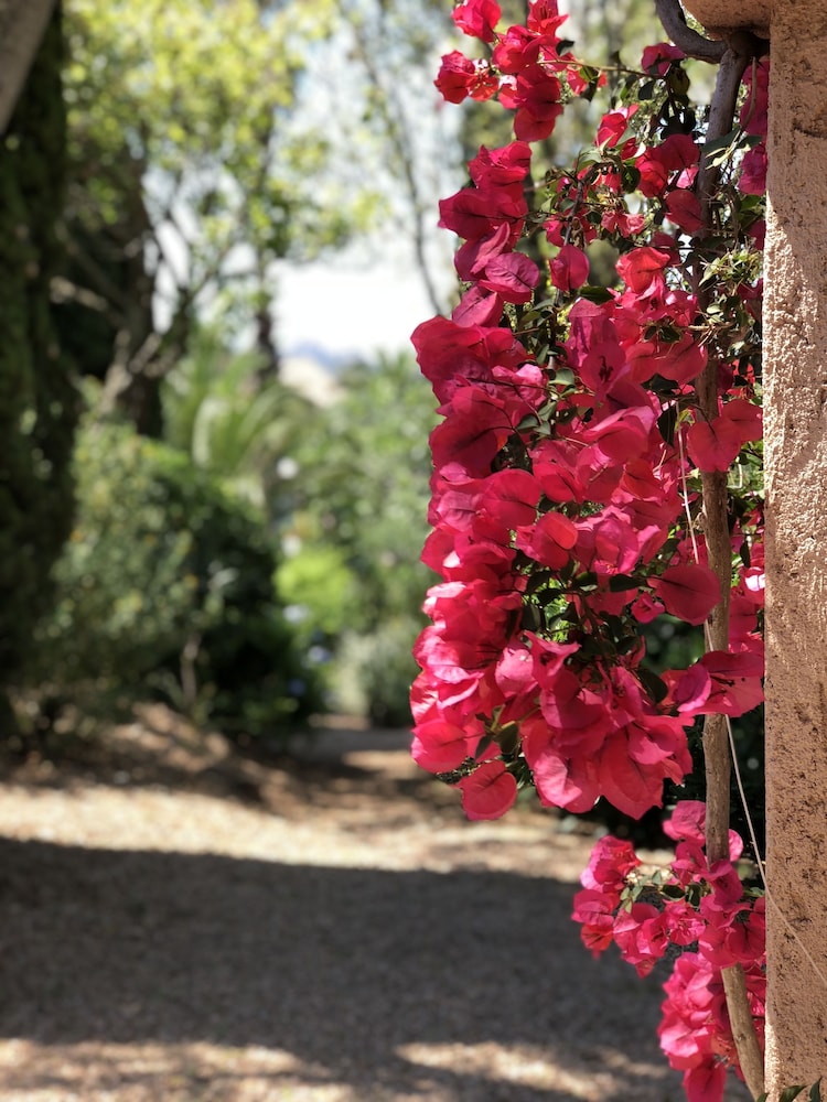 Les Toits De Santa Giulia 38/50