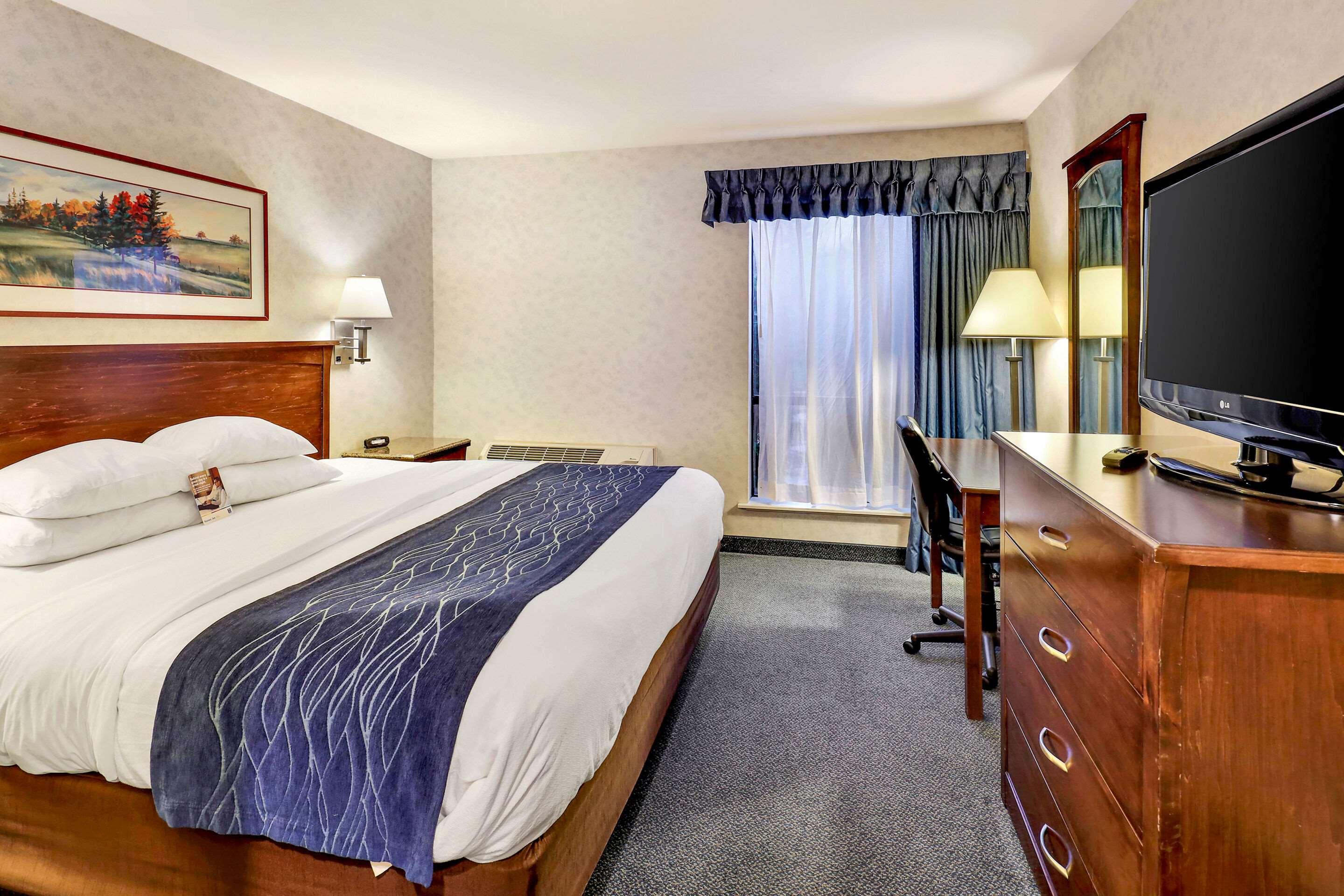 Efficiency, Suite, King Bed