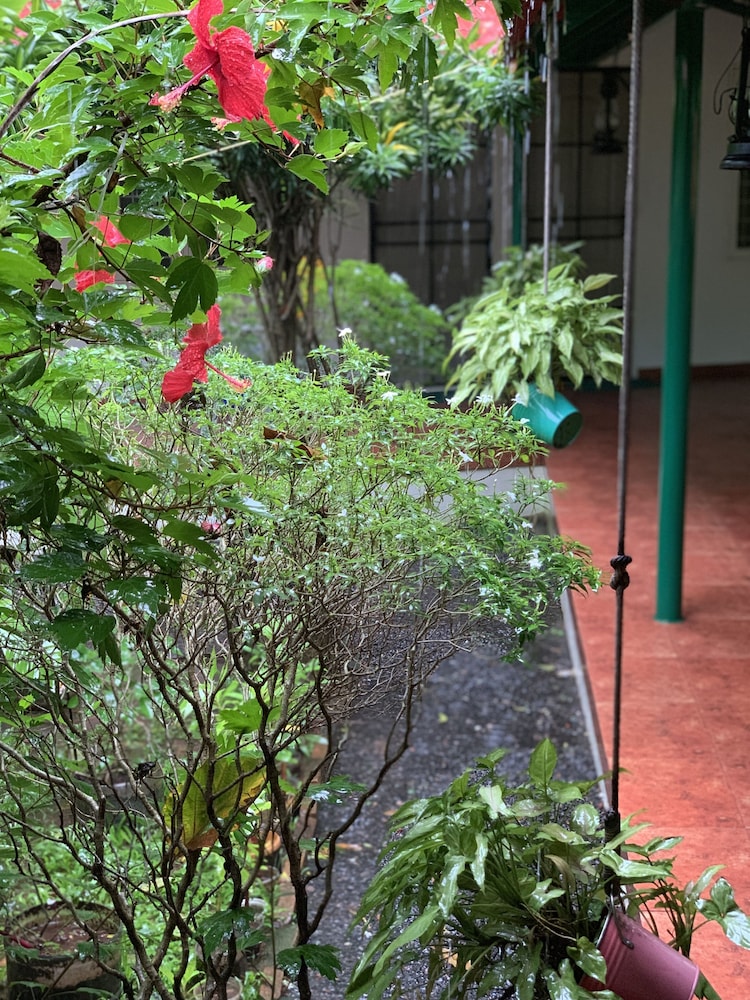 PALM GROVE SERVICE VILLA 41/48