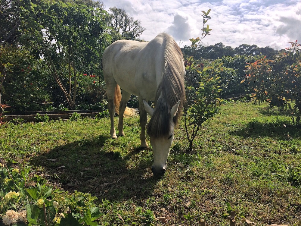 Quinta De Santana 34/50