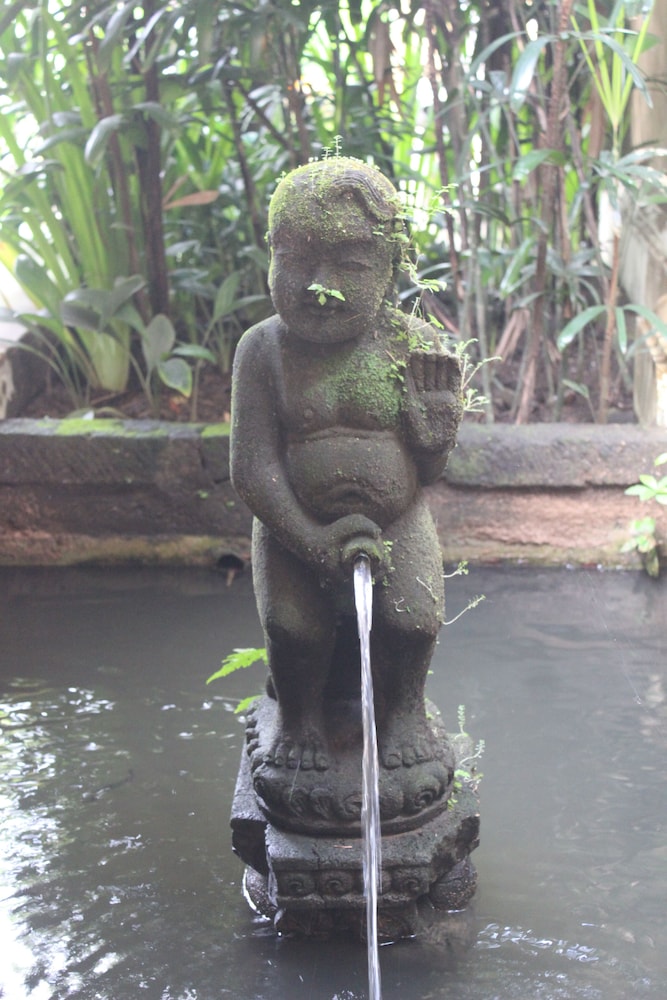 The Sungu Resort And Spa 24/50