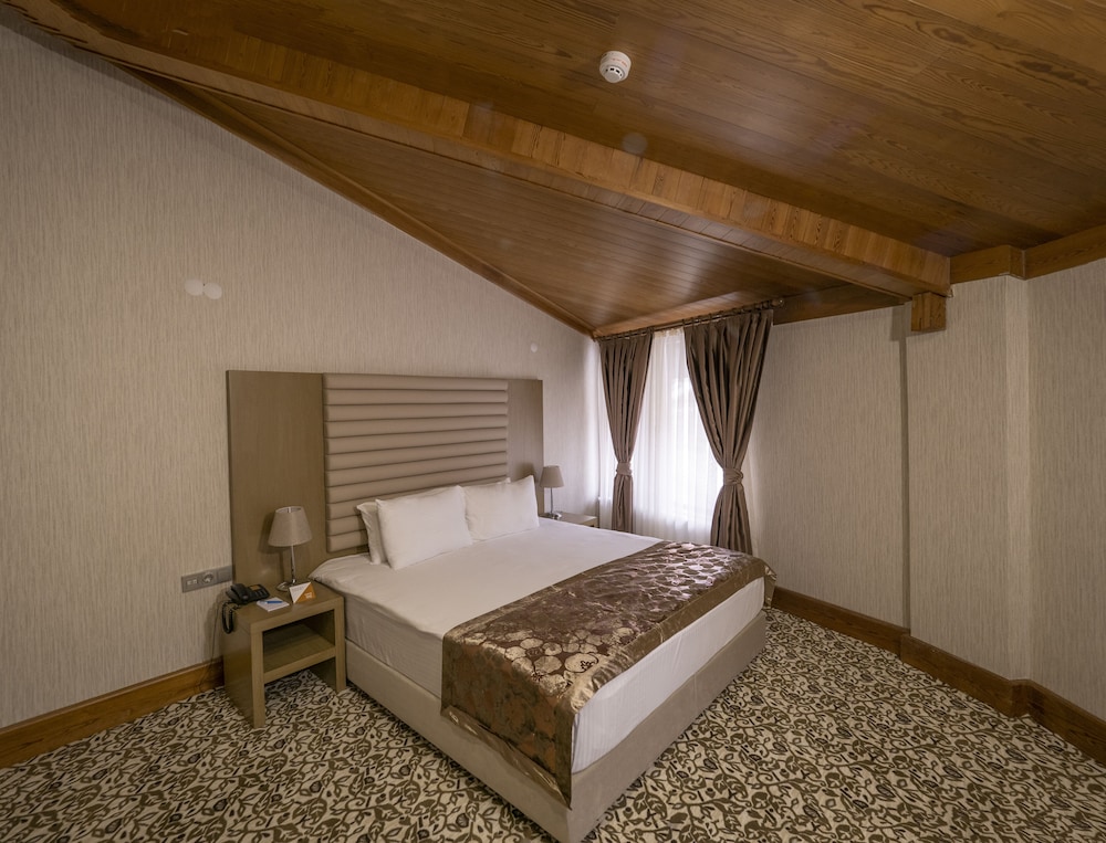 Balsoy Mountain Hotel 7/37