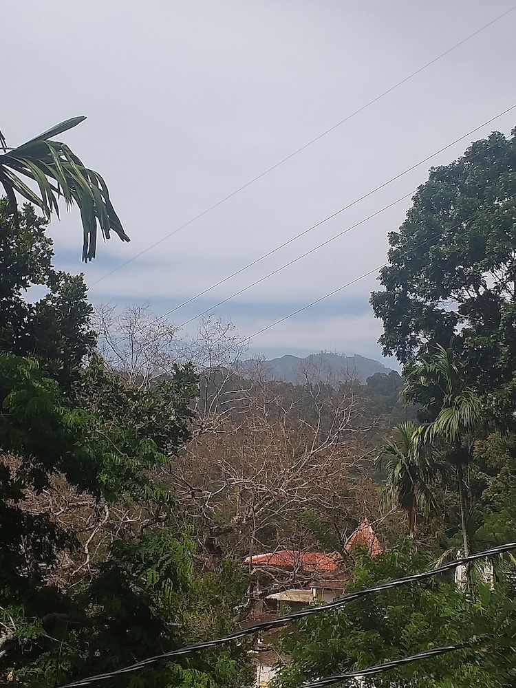 Nature Paradise Home Stay 39/50