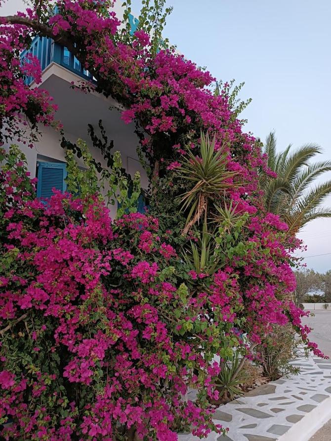 Alkyon Hotel 39/45