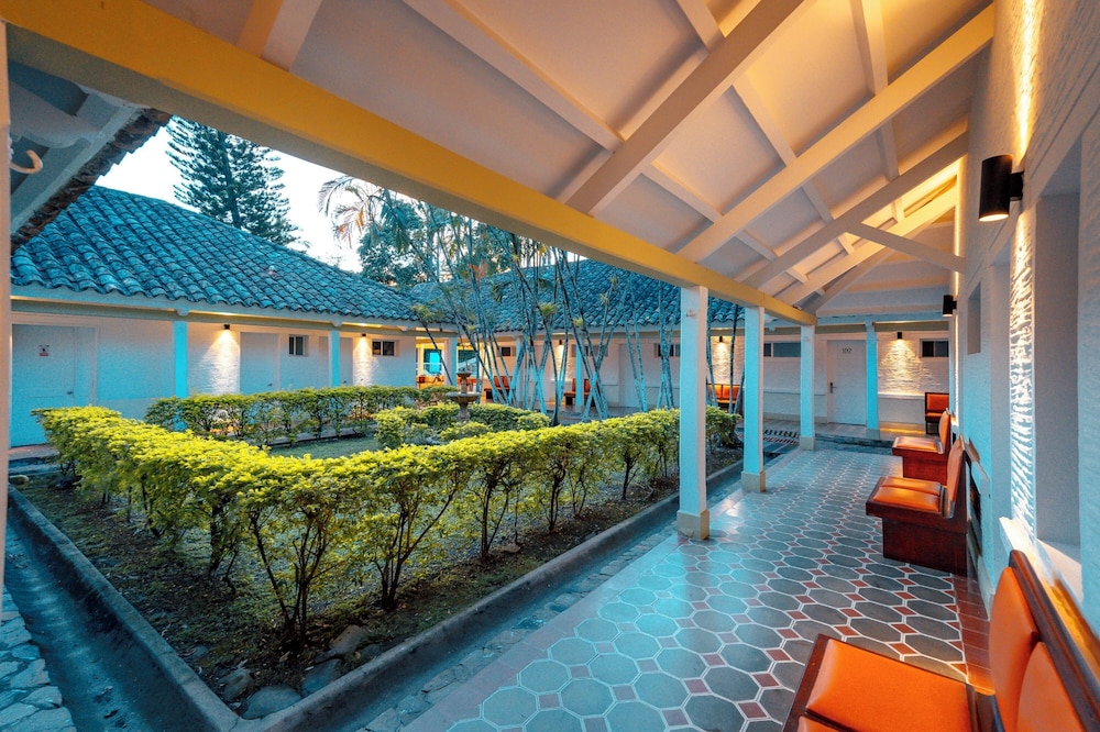 hotel las palmeras 7/50