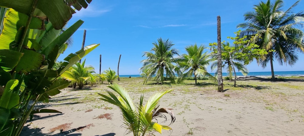 Hotel Playa Westfalia 23/42