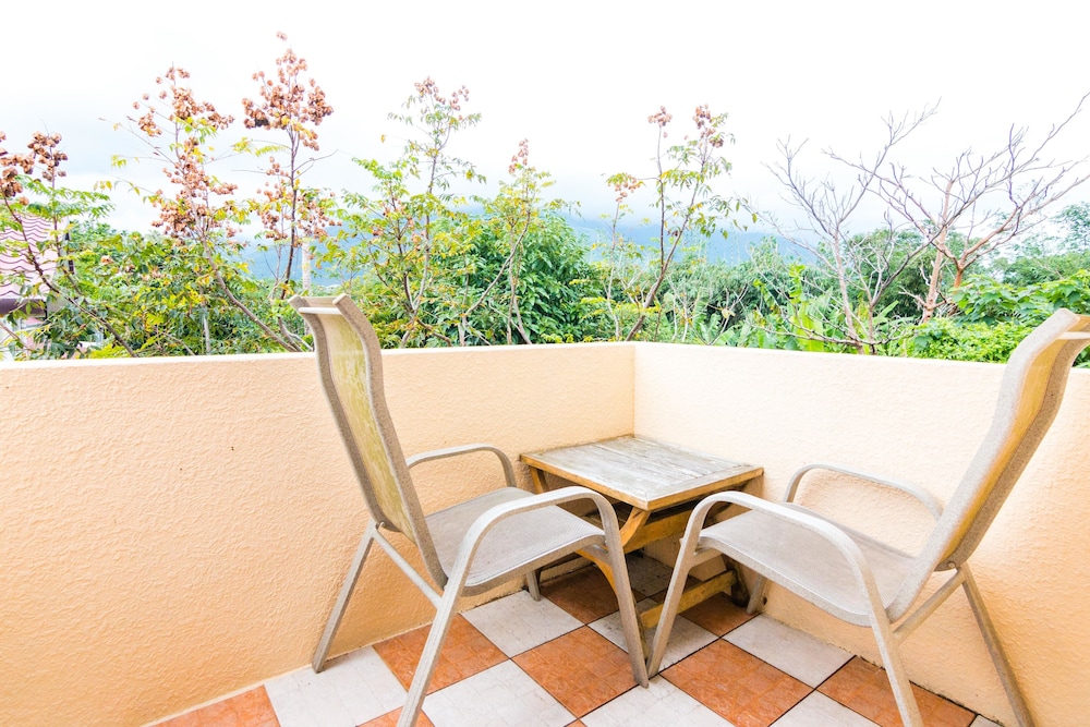 Dreamhome B &amp; B 32/50