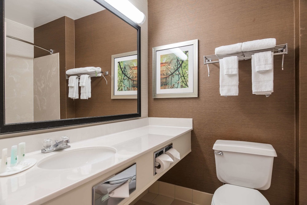 Quality Inn & Suites Bozeman 19/40