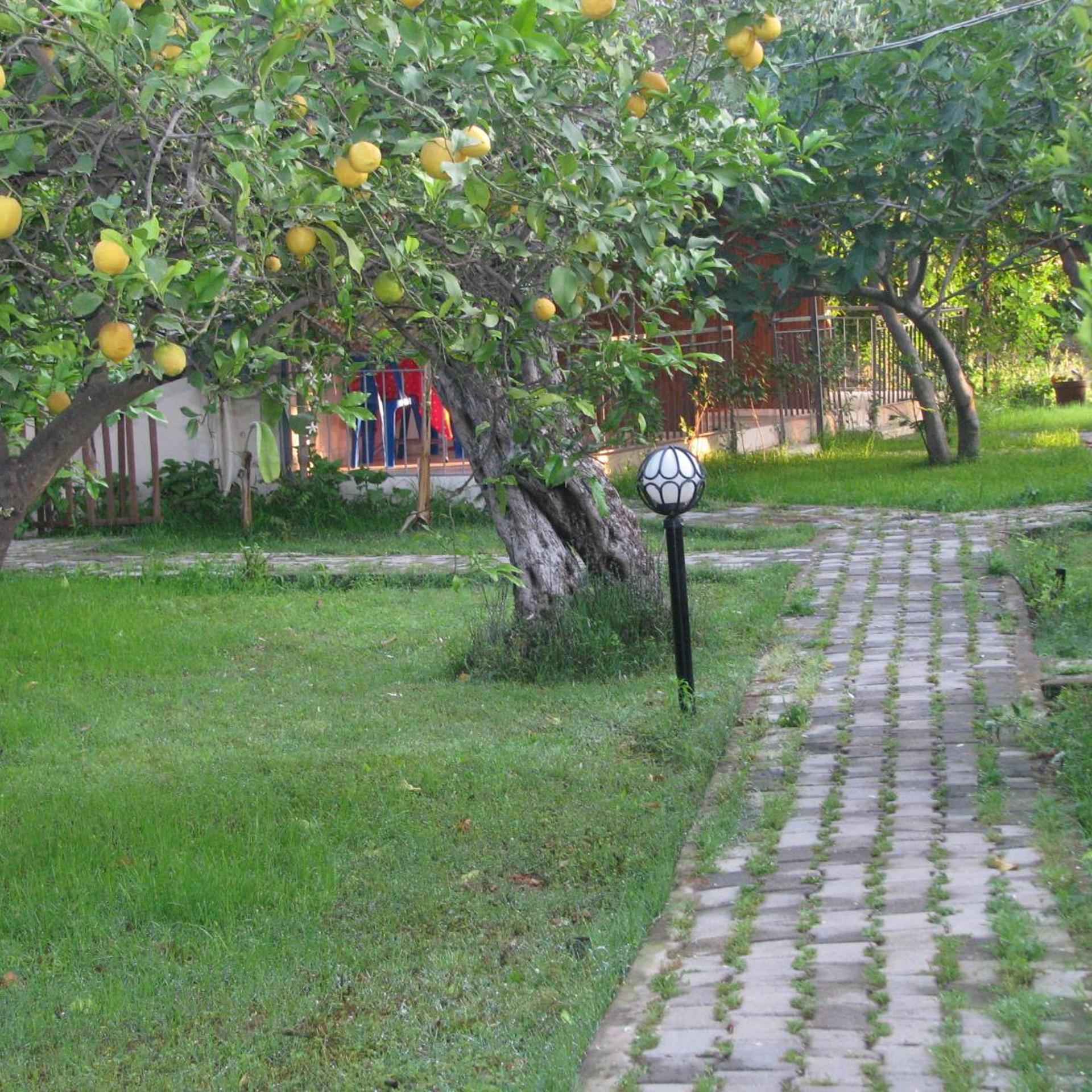 Yildiz Pension Bungalows 37/50