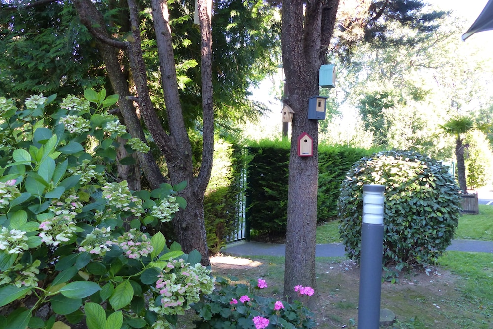 surroundings