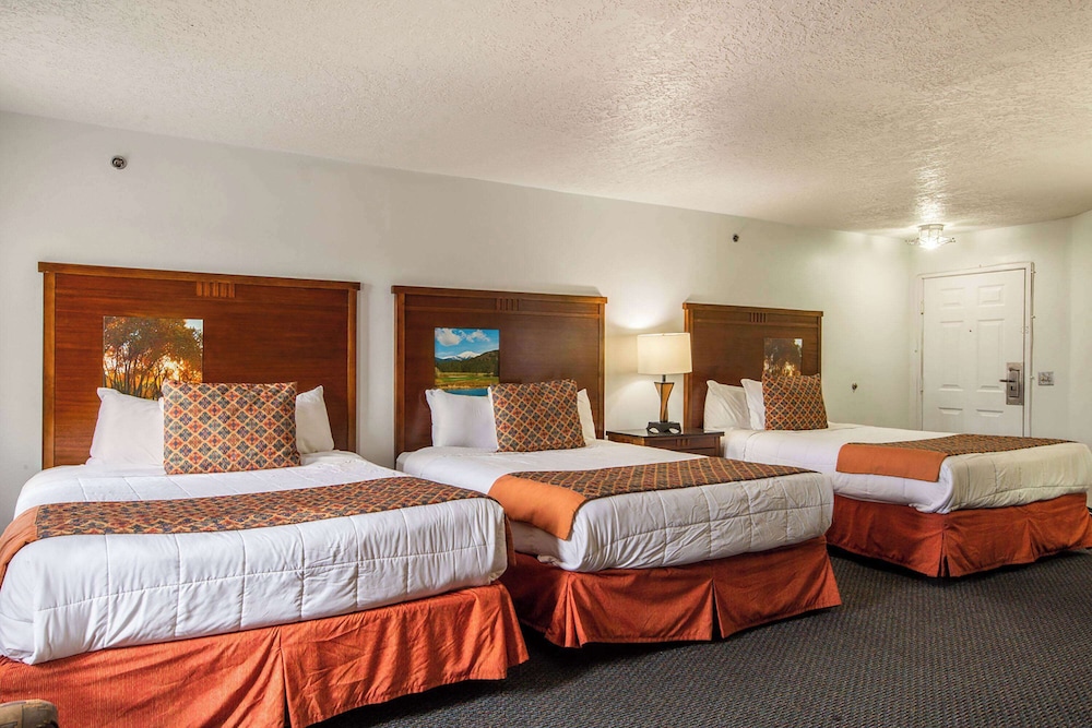 FAMILY SUITE, MULTIPLE BEDS