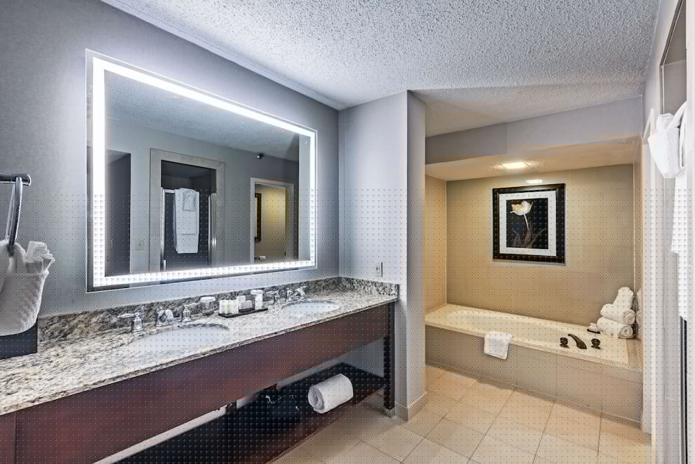 Embassy Suites by Hilton Dallas Market Center 33/72