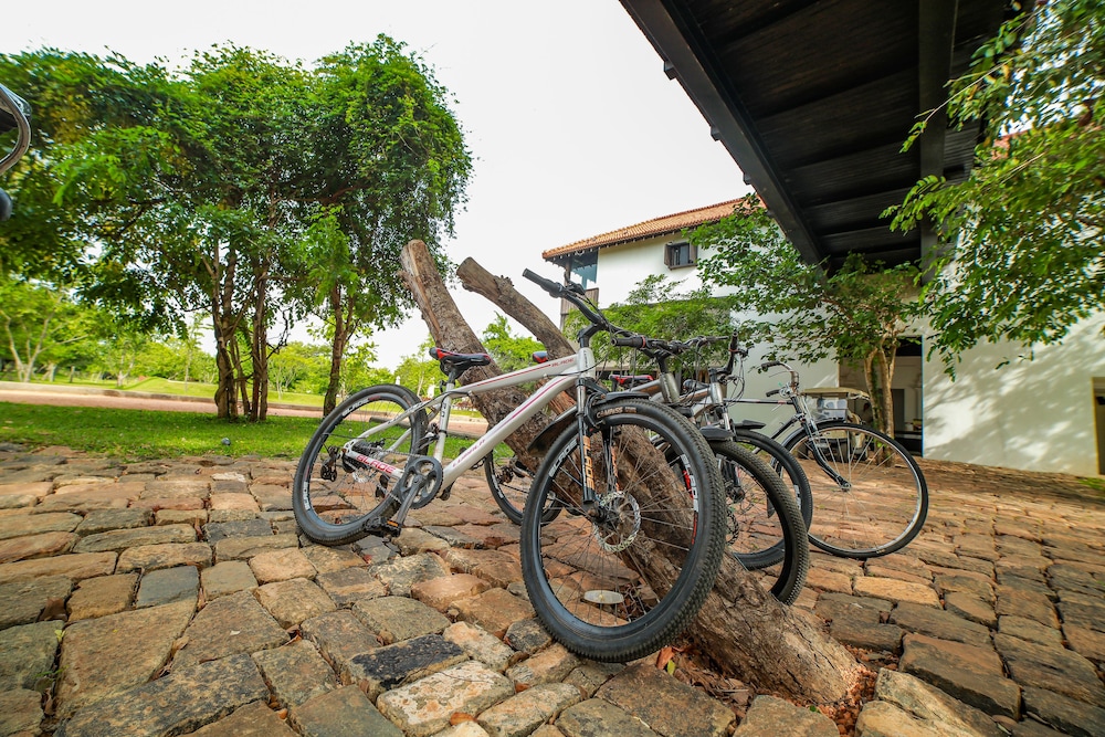 Sigiriya Jungles 28/50