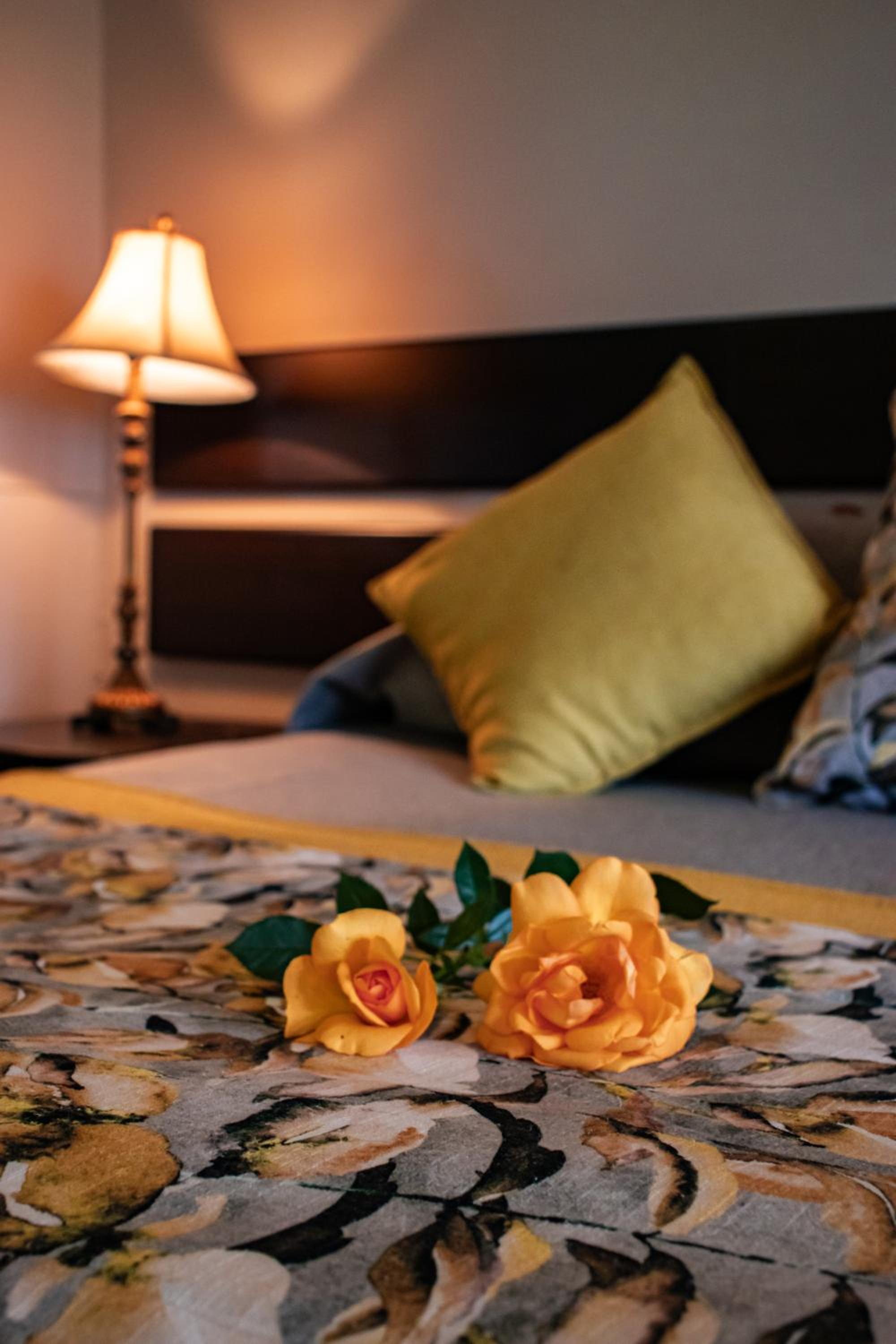 Drakensview Self Catering 11/50