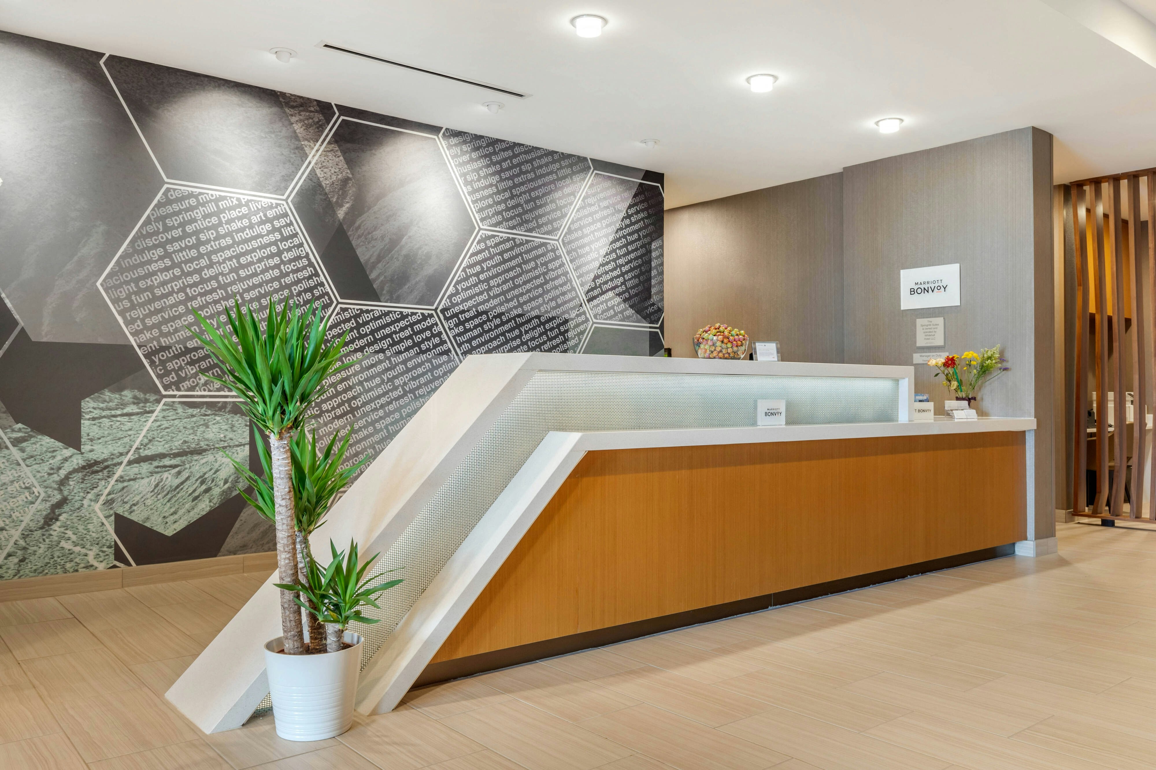 Springhill Suites By Marriott Charlotte Southwest 9/49