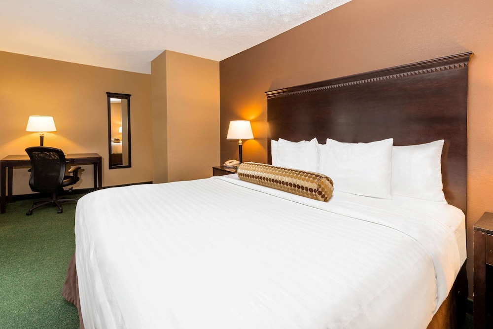 Room, King Bed
