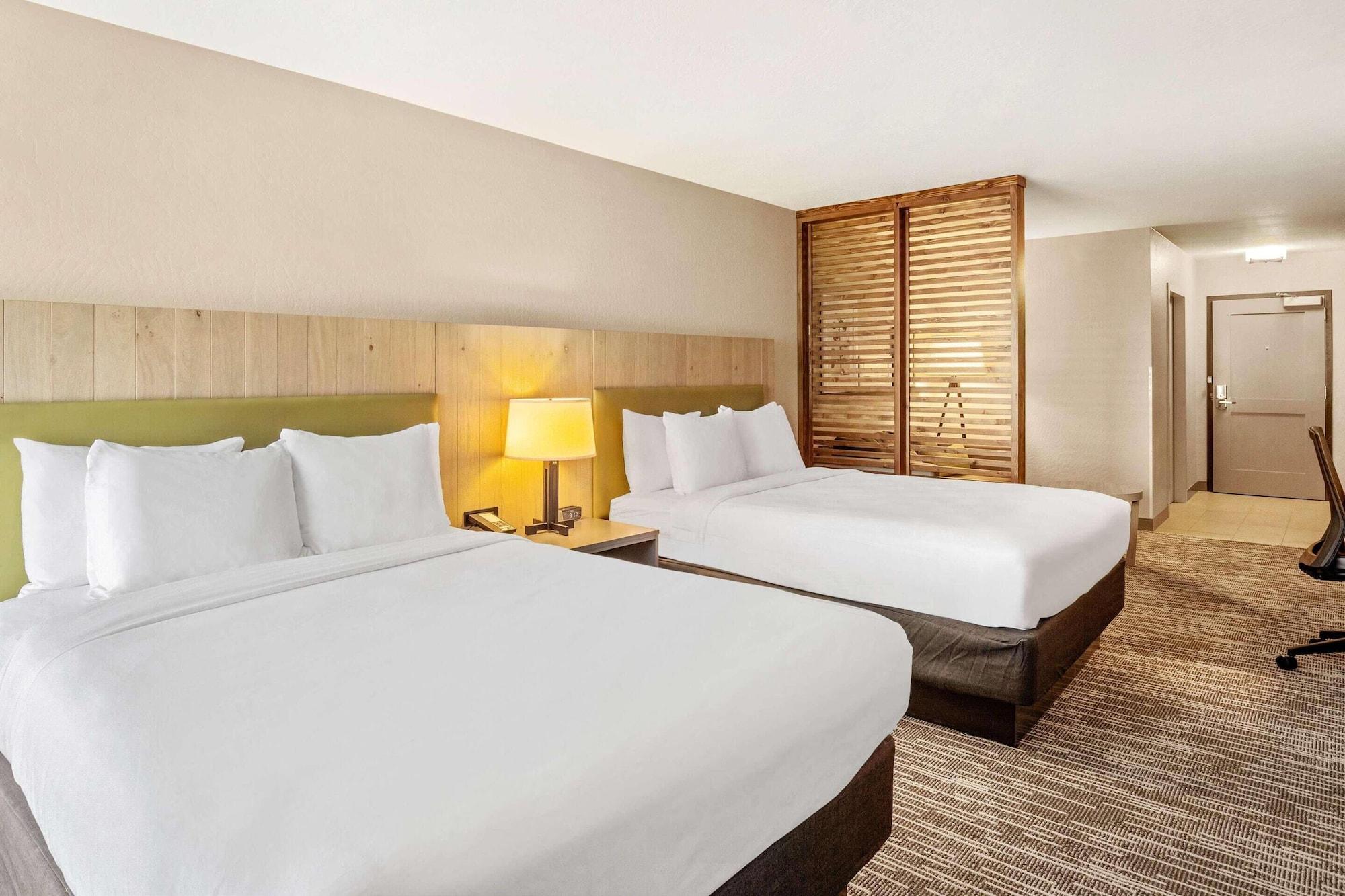 Studio, Suite, Multiple Beds