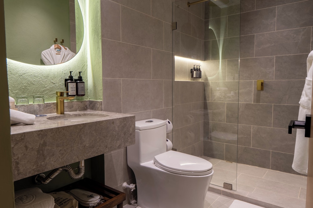 Hotel Faranda Collection Cucuta 55/58