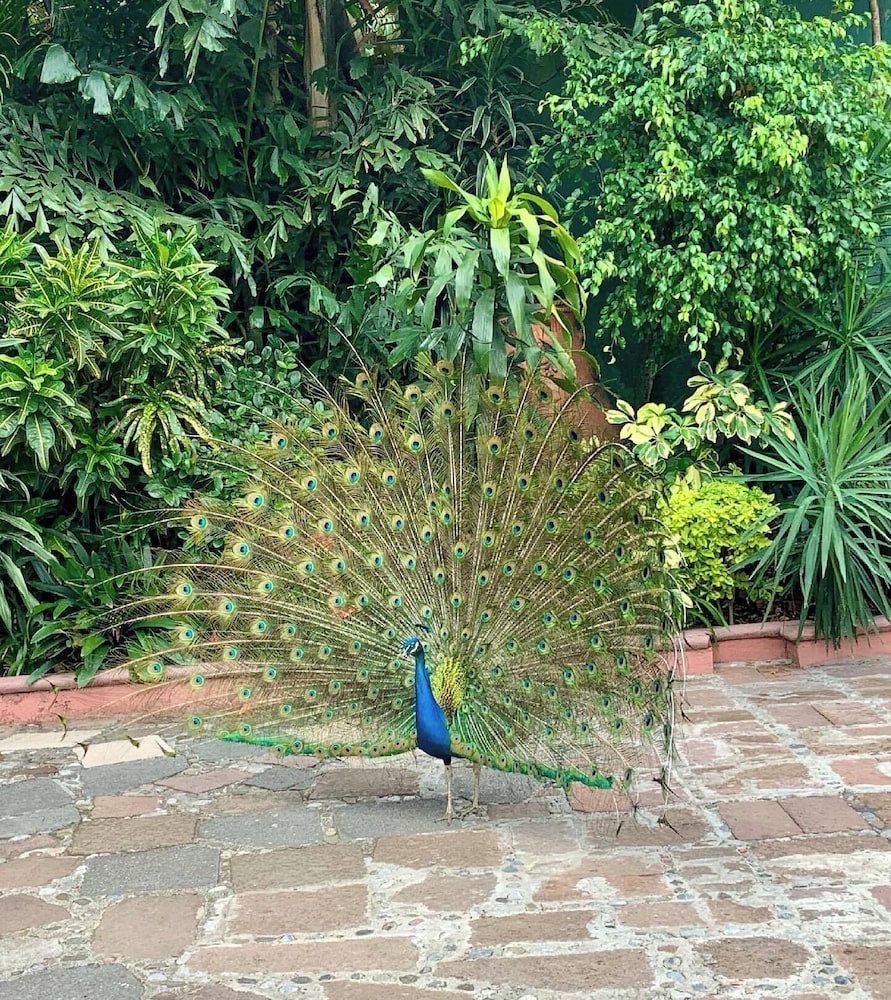 Hotel Casa de Campo 41/65